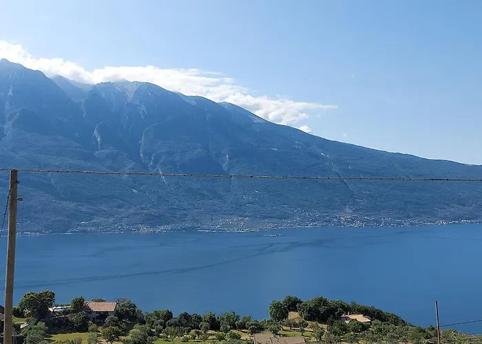 Ulivi Sul Garda Garden By Gardadomusmea