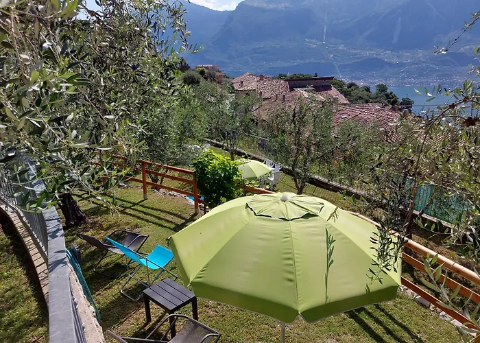 Ulivi Sul Garda Garden By Gardadomusmea