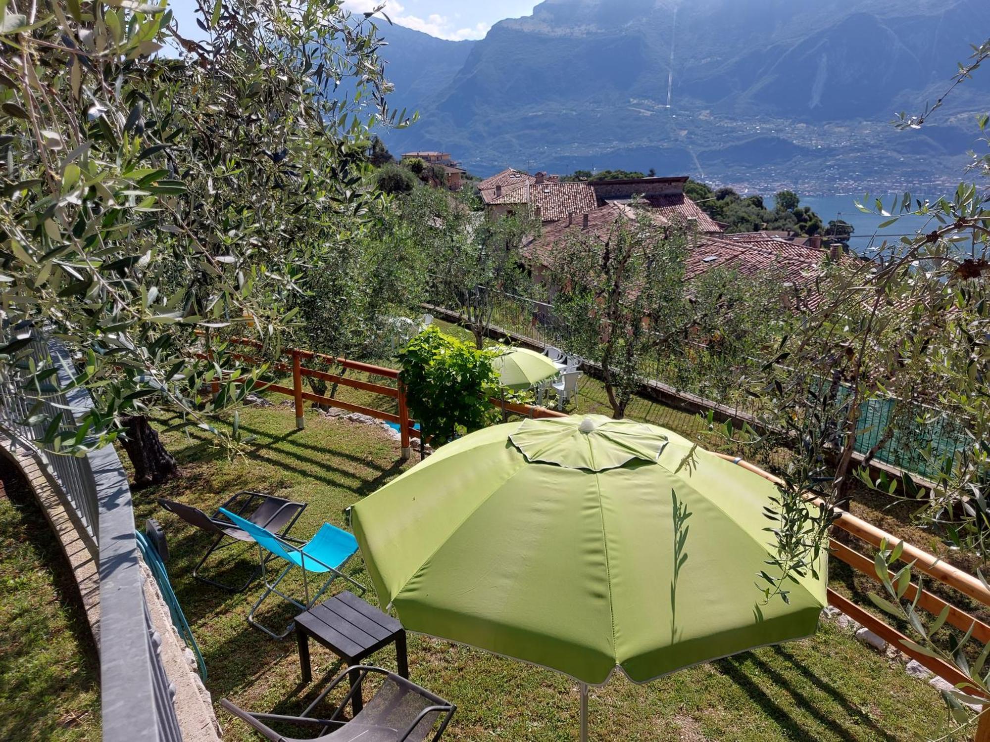 Ulivi Sul Garda Garden By Gardadomusmea * Tremosine
