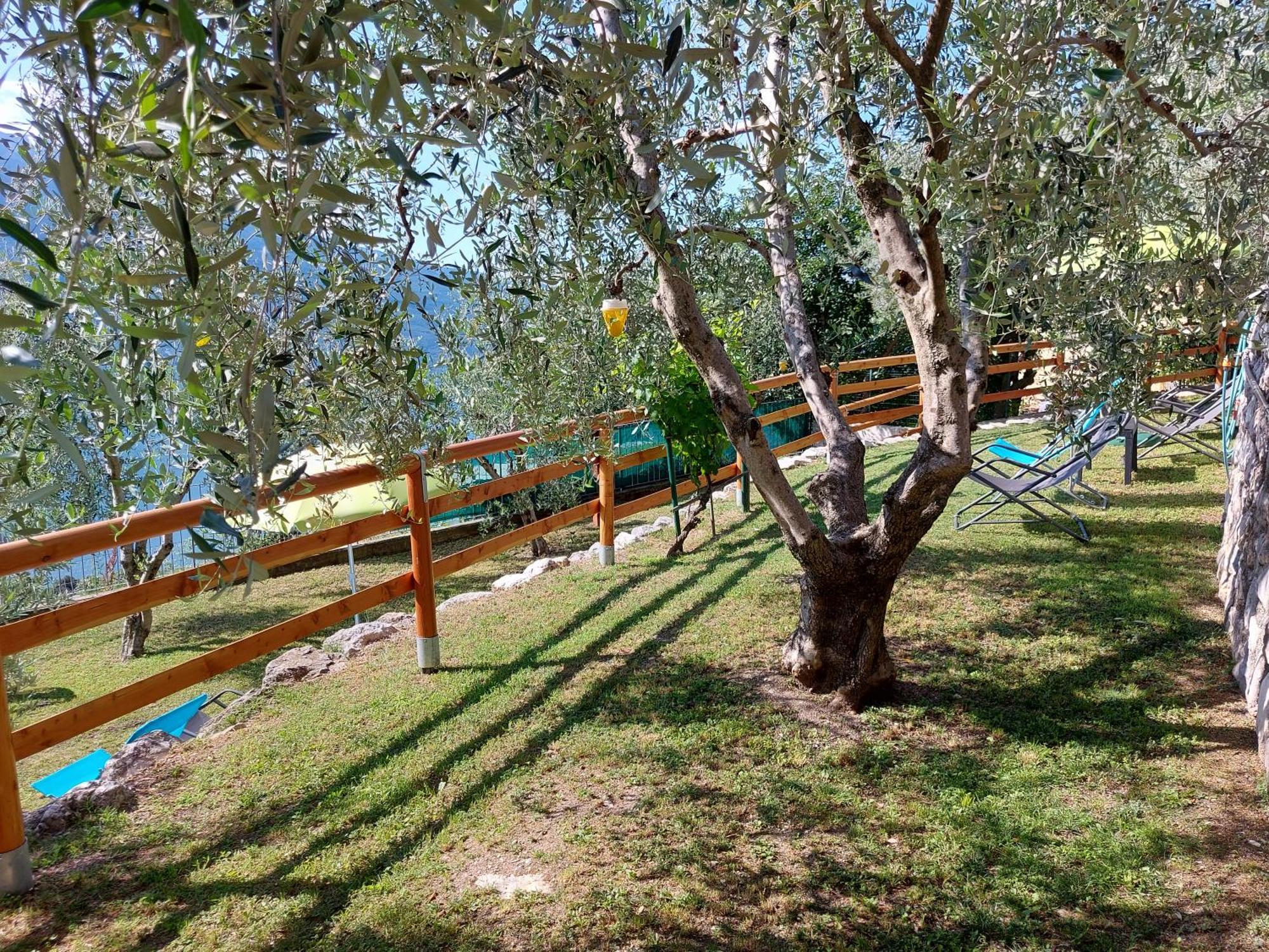 Apartamento Ulivi Sul Garda Garden By Gardadomusmea Tremosine