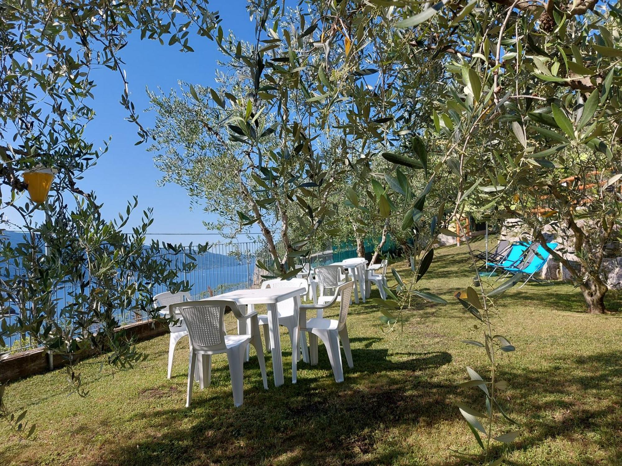 Ulivi Sul Garda Garden By Gardadomusmea *