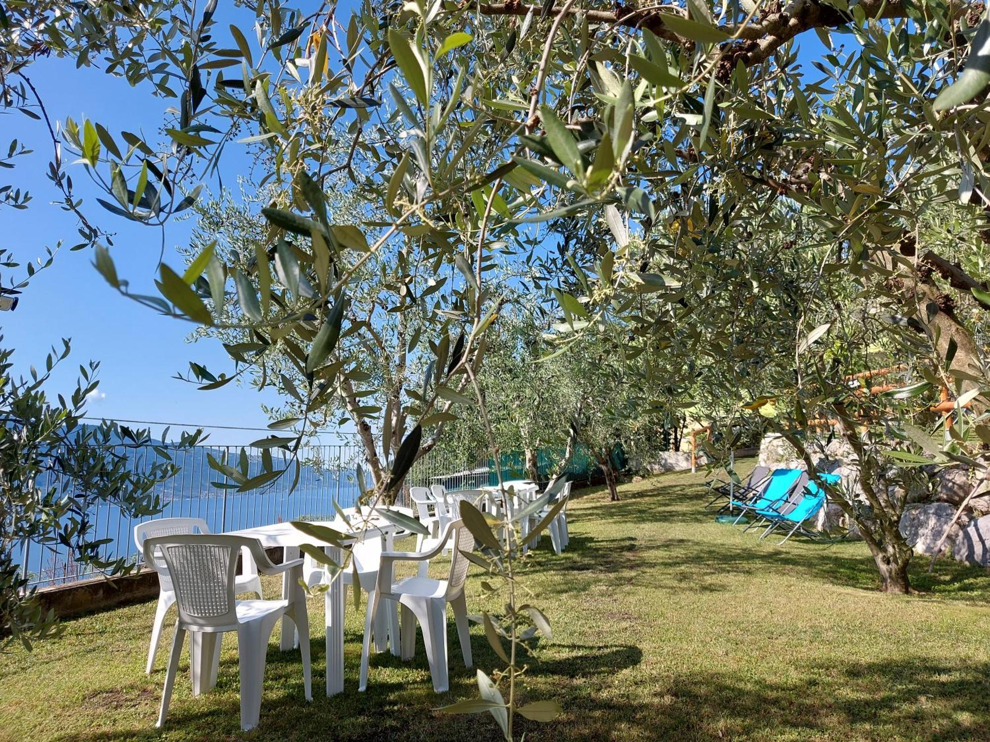Ulivi Sul Garda Garden By Gardadomusmea Apartment