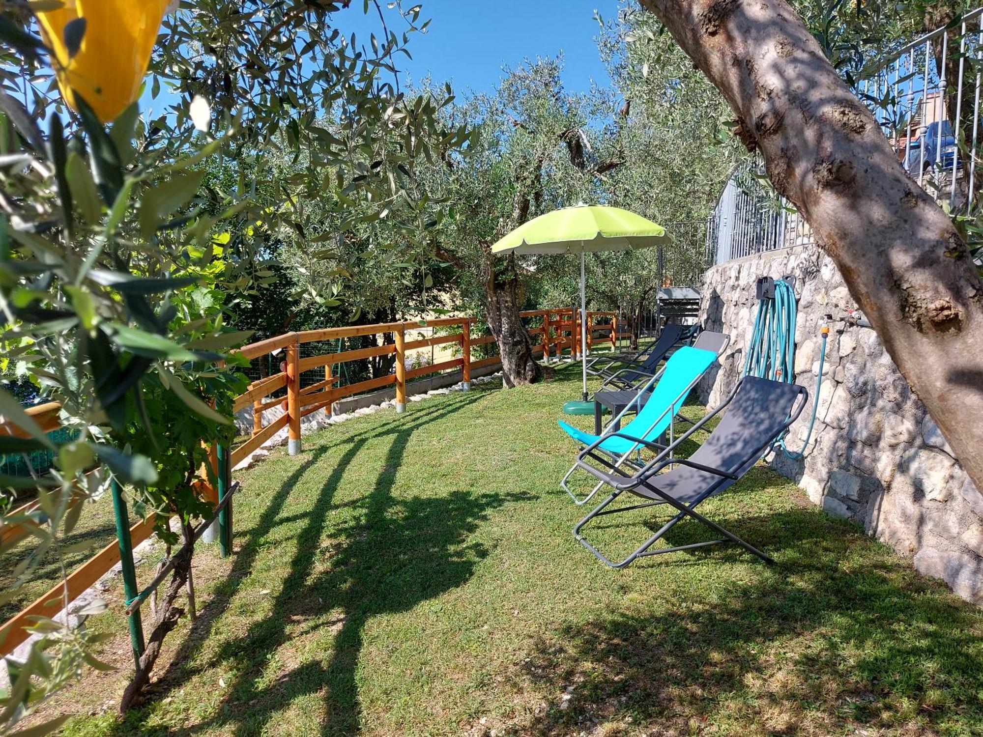Ulivi Sul Garda Garden By Gardadomusmea Tremosine