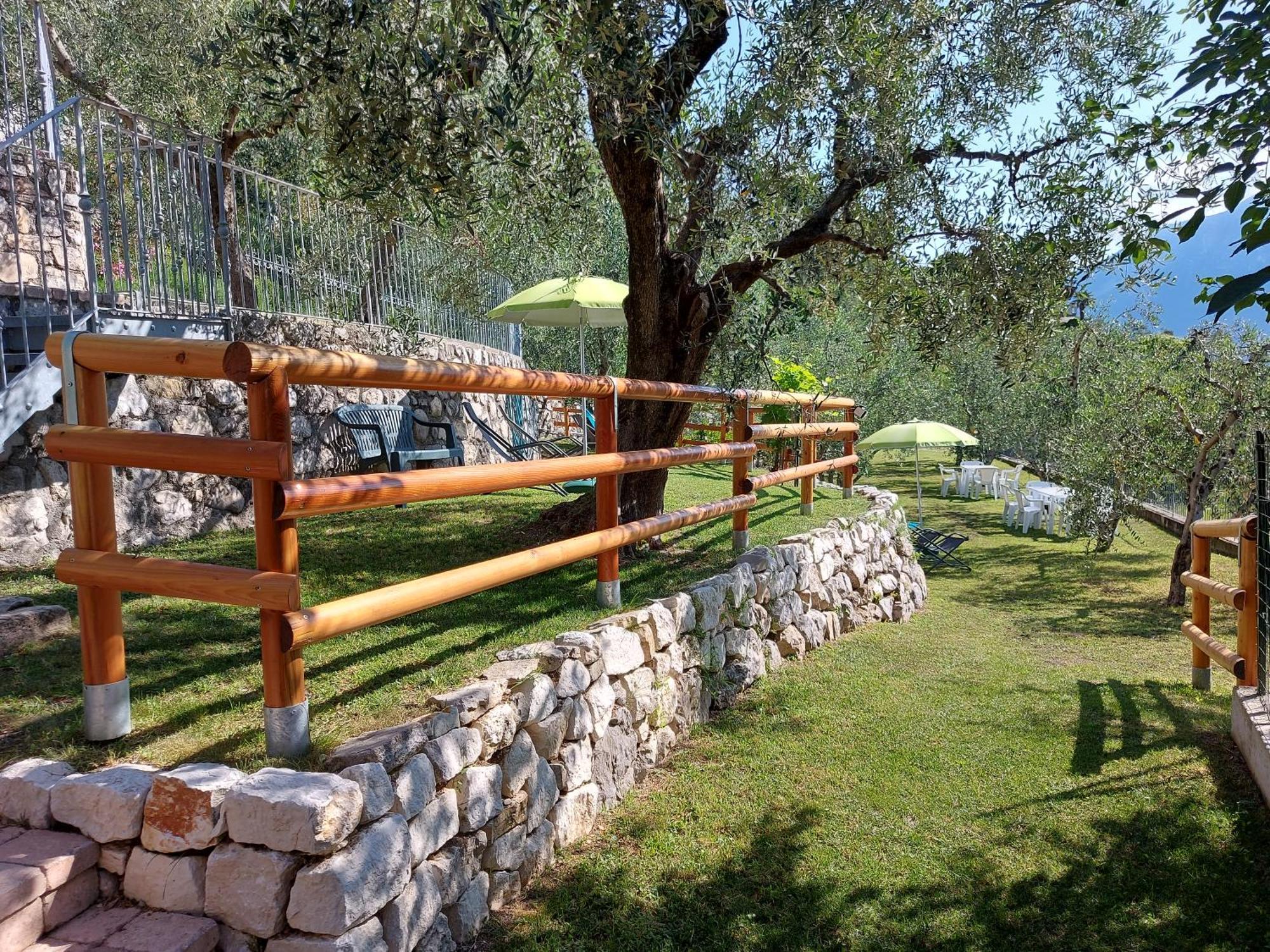Ulivi Sul Garda Garden By Gardadomusmea