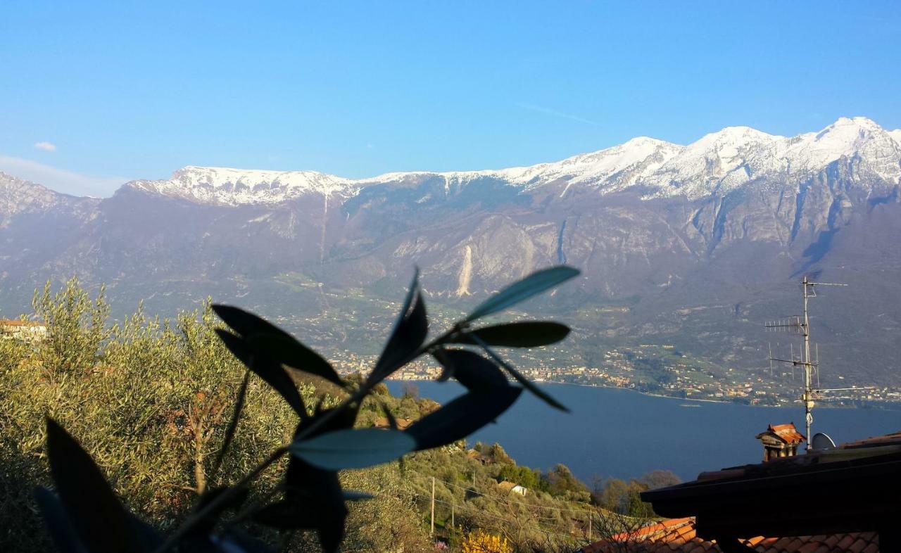 Ulivi Sul Garda Garden By Gardadomusmea * Tremosine