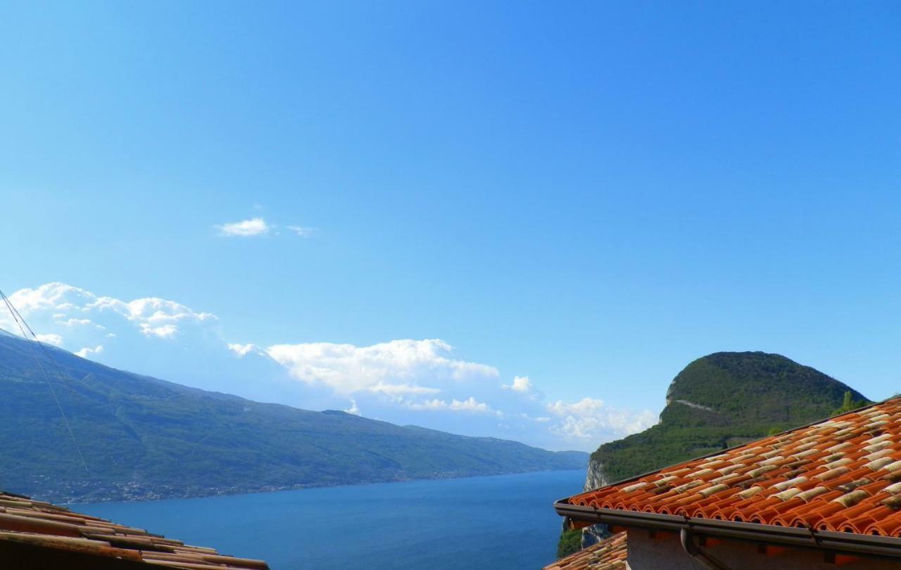 Ulivi Sul Garda Garden By Gardadomusmea * Tremosine