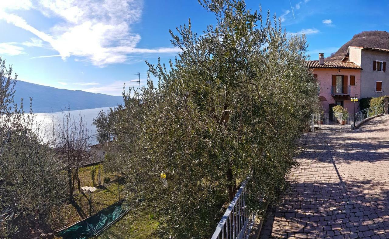Ulivi Sul Garda Garden By Gardadomusmea Apartment Tremosine