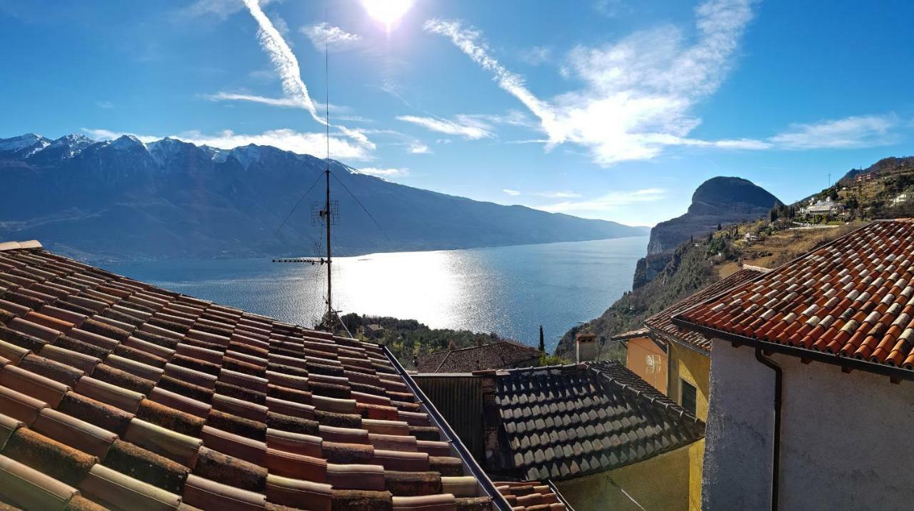 Ulivi Sul Garda Garden By Gardadomusmea *
