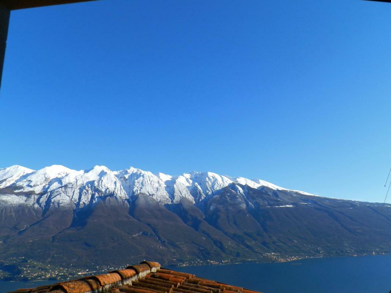 Ulivi Sul Garda Garden By Gardadomusmea Apartment