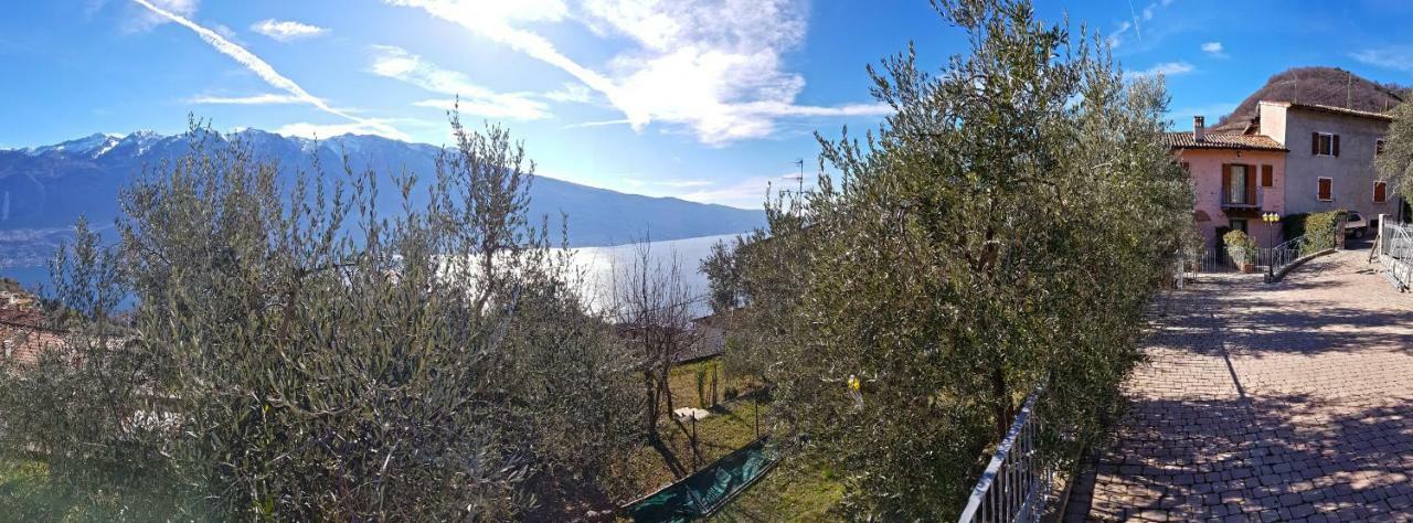 Ulivi Sul Garda Garden By Gardadomusmea Apartment Tremosine