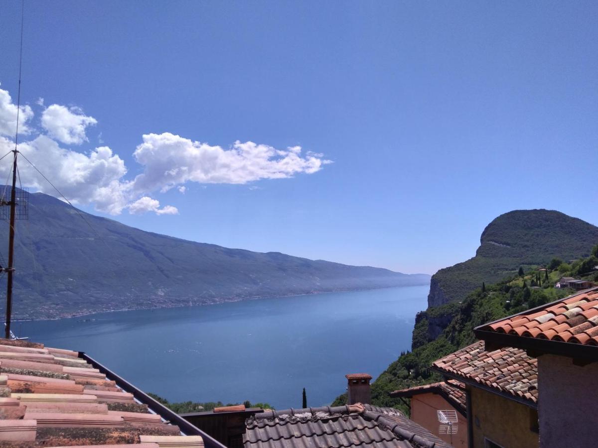 Ulivi Sul Garda Garden By Gardadomusmea Apartment *